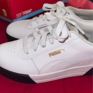 Puma carina L